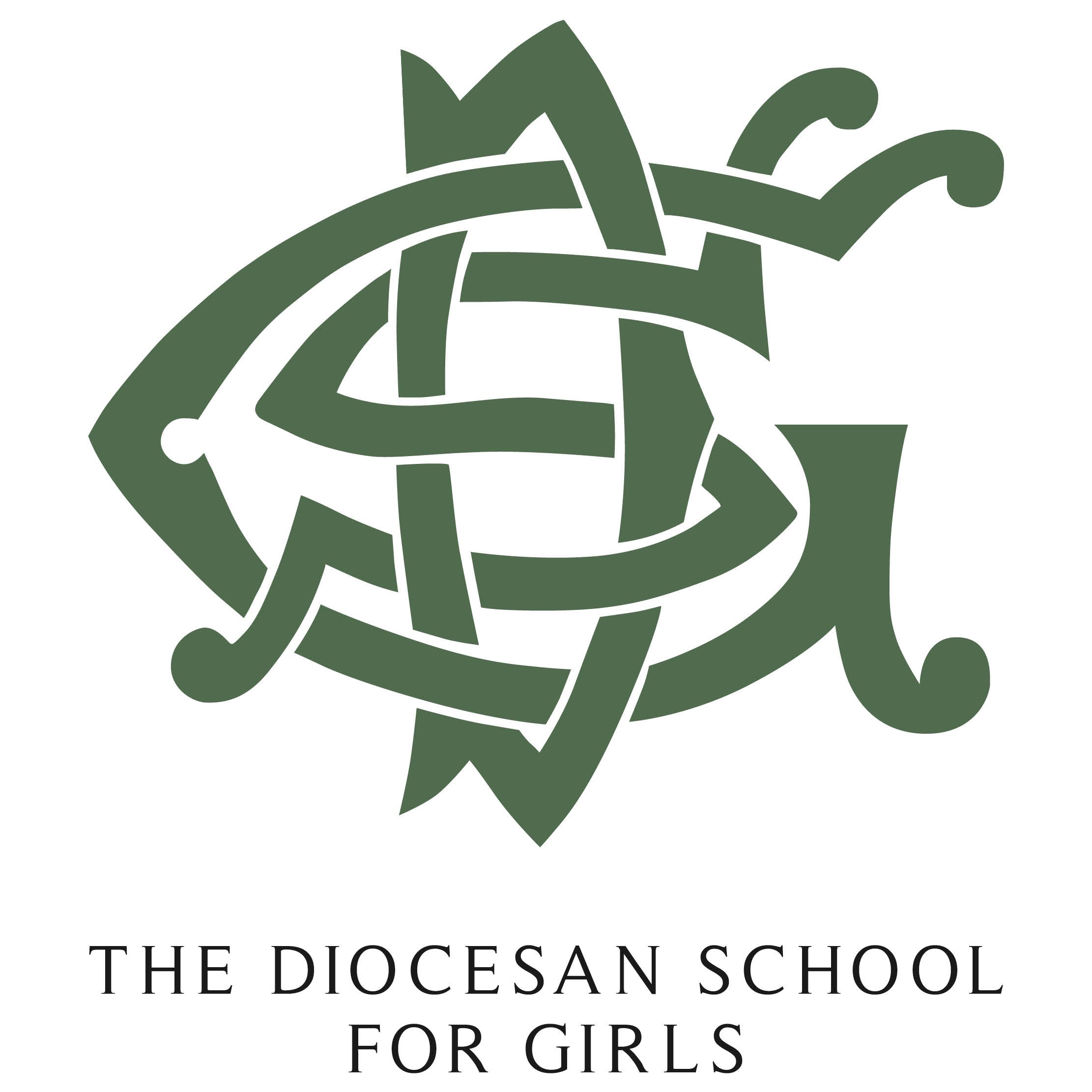 dsgschool