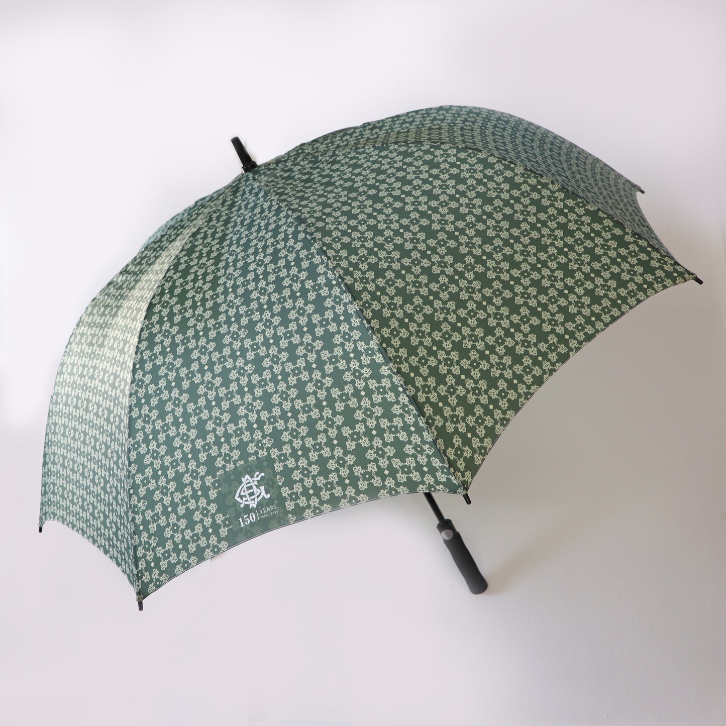 DSG Green Umbrella