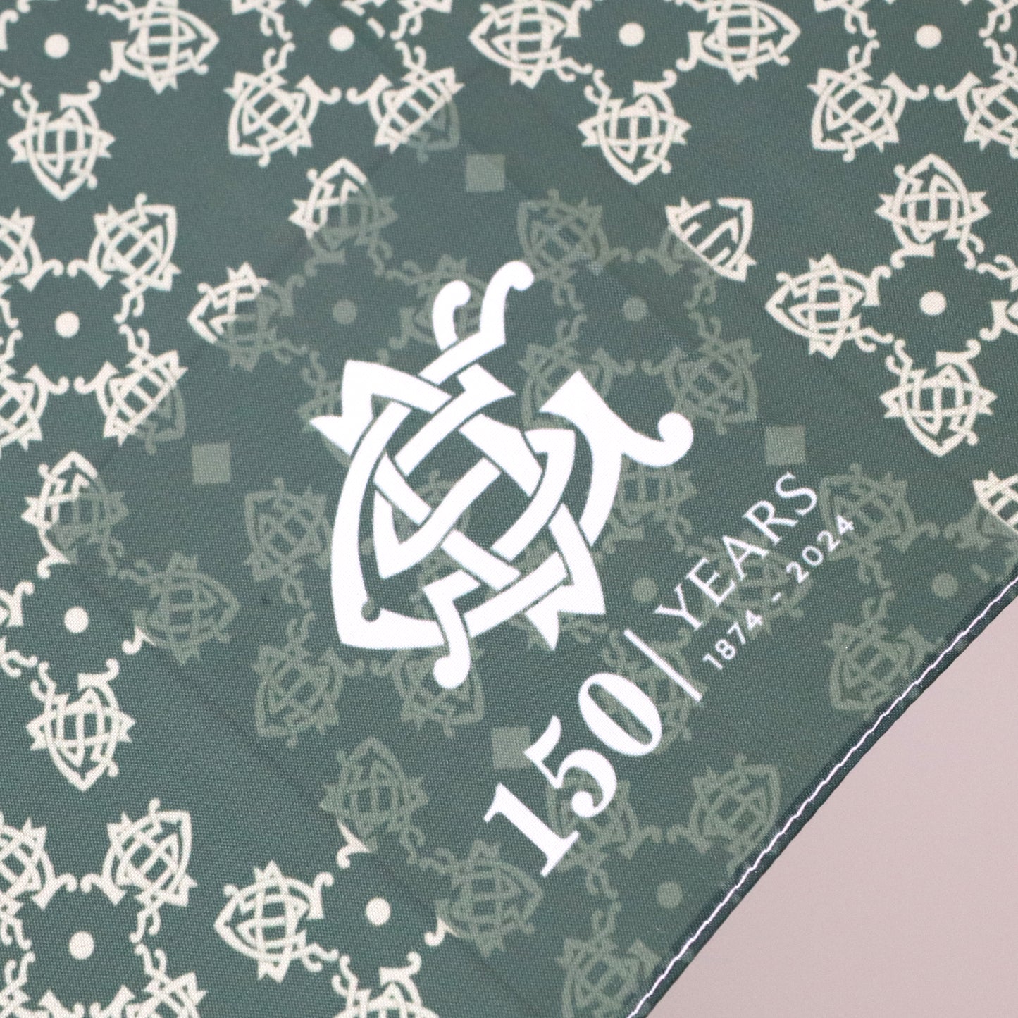 DSG Green Umbrella